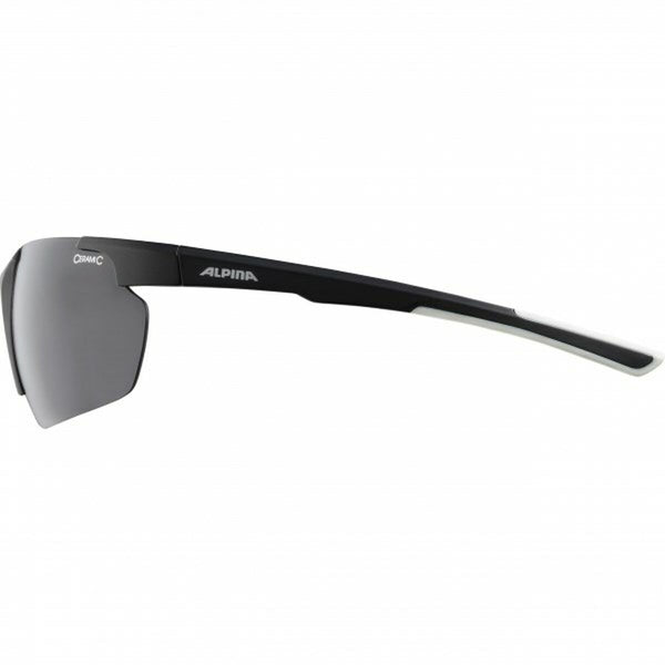 Herrensonnenbrille Alpina DEFEY HR