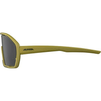 Herrensonnenbrille Alpina BONFIRE