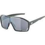 Herrensonnenbrille Alpina A8687321