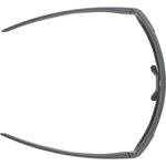 Herrensonnenbrille Alpina A8687321