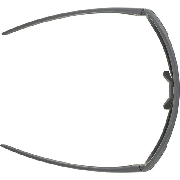 Herrensonnenbrille Alpina A8687321