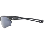 Herrensonnenbrille Alpina A8635332