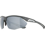 Herrensonnenbrille Alpina A8635332