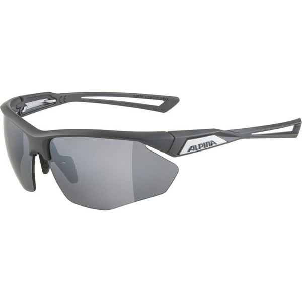 Herrensonnenbrille Alpina A8635332
