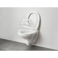 Toilette Grohe   Aufgehängt