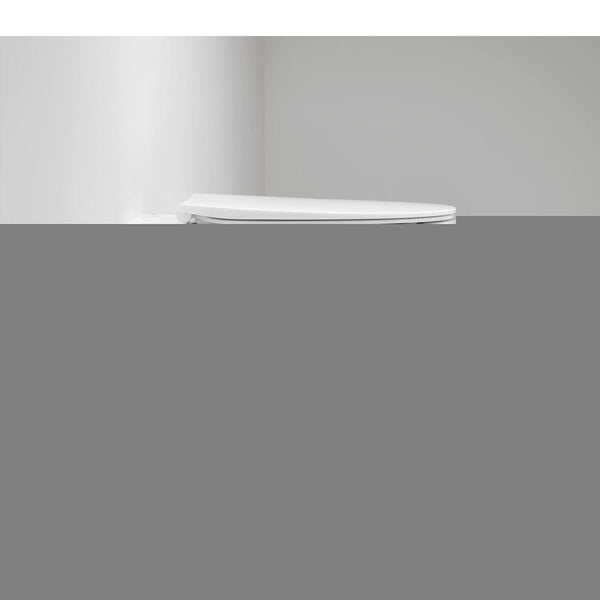 Toilette Grohe   Aufgehängt