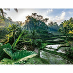 Puzzle Ravensburger Nathan