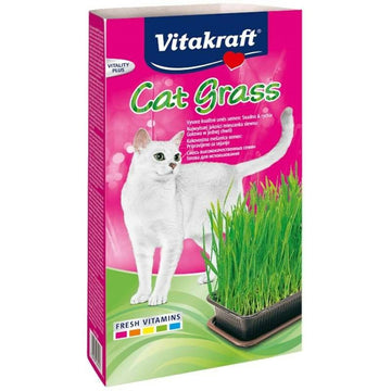 Snack für Katze Vitakraft Cat Grass