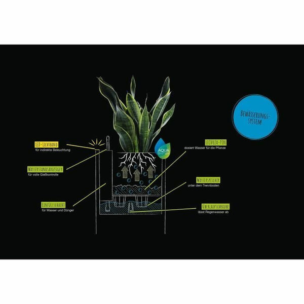 Selbstbewässernder Blumentopf Lechuza Weiß 30 x 30 cm LED