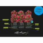 Blumentopf Lechuza 100 x 32,5 x 34,5 cm rechteckig