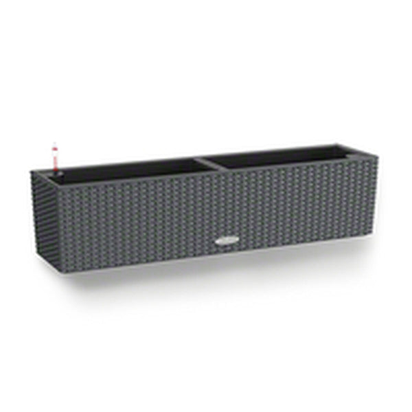 Blumentopf Lechuza Schwarz Grau Polypropylen