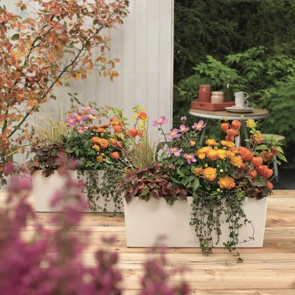 Blumentopf Lechuza Weiß Schwarz Polypropylen