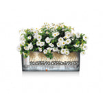 Blumentopf Lechuza Braun Schwarz Polypropylen