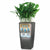 Blumentopf Lechuza 40 x 40 x 105 cm Kunststoff rechteckig