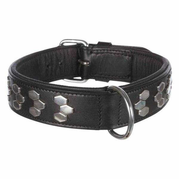 Halsband Trixie Schwarz 45–55 cm Haut