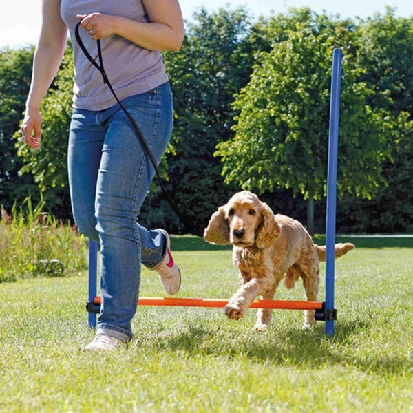 Trainingsspielzeug Trixie