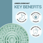 LED-Halsband für Haustiere Trixie Flash USB Rot Einheitsgröße