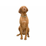 Hundehalsband Trixie BE NORDIC Sand S 35 cm