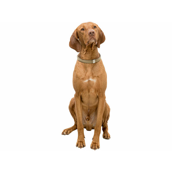 Hundehalsband Trixie BE NORDIC Sand S 35 cm