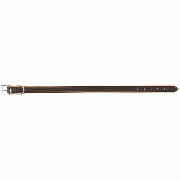 Hundehalsband Trixie Braun Hellbraun L/XL