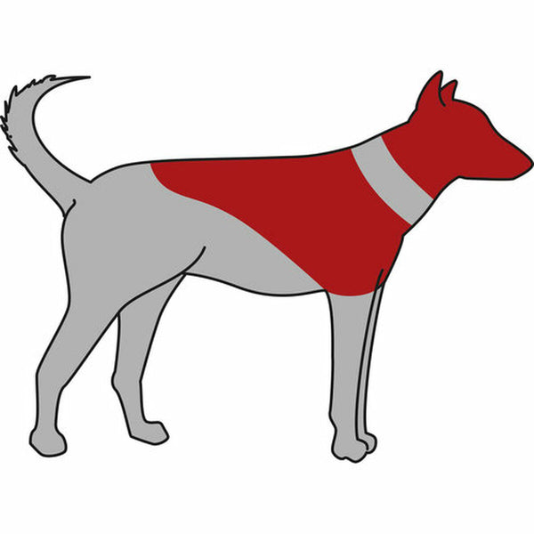 Schutzkragen für Hund Trixie Blau Aufblasbar (40-45 cm)