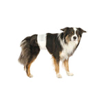 Windeln Trixie 12 Stück