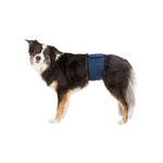 Schutz bei Inkontinenz Trixie 45-55 cm Stecker Unterleib