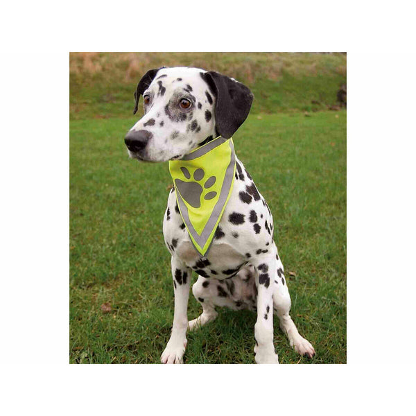 Bandana Trixie