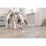 Hundesnack Trixie Cookie Snack Loops 1,3 kg