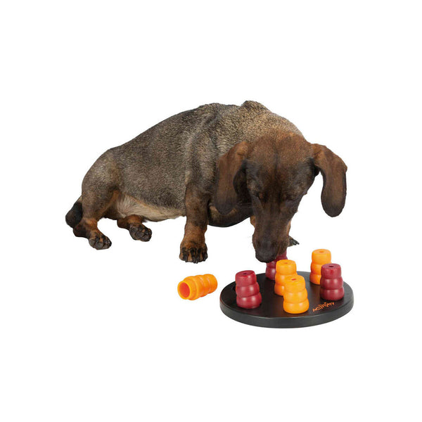 Hundespielzeug Trixie Mini Solitario