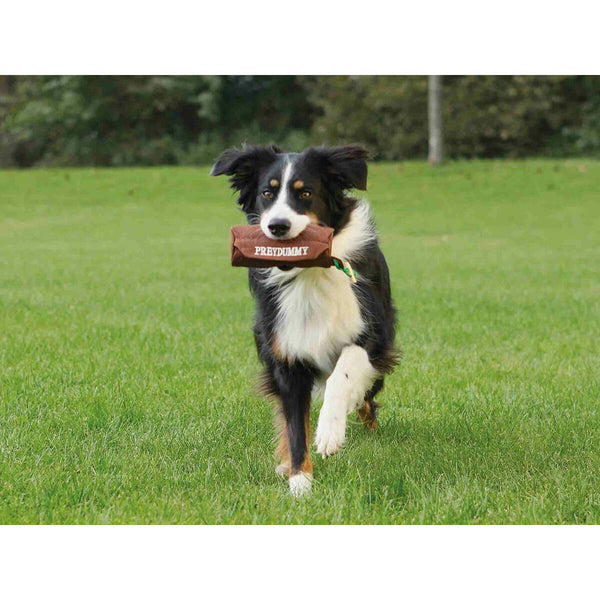 Hundespielzeug Trixie Braun Canvas-Stoff Ø 8 × 20 CM