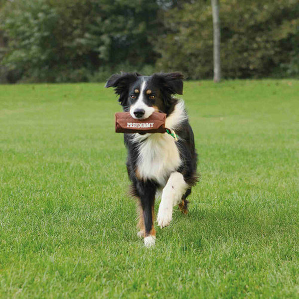 Hundespielzeug Trixie Braun Canvas-Stoff Ø 8 × 20 CM
