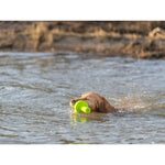 Beißring für Hunde Trixie 29 cm