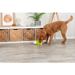 Hundespielzeug Trixie Schwein