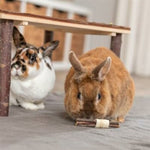 Spielzeug für Nager Trixie Holz Seetang 10 × 3 CM (2 Stück)