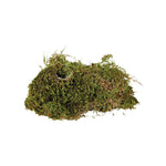 Substrat Trixie 200 g Moos