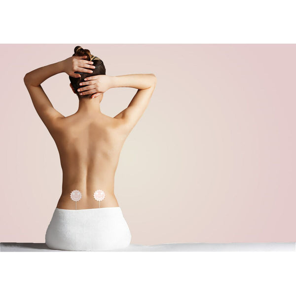 Küchenpapierrollenhalterung Medisana 88354