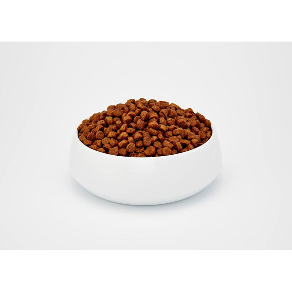 Katzenfutter BOSCH ADULT Erwachsener Huhn Vögel 10 kg