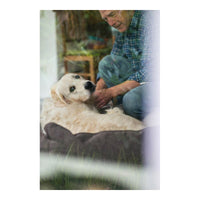 Hundesofa Hunter Boston 80x60 cm Braun