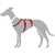 Hundegeschirr Hunter 48-70 cm Rot S/M 36-51 cm