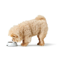 Futternapf für Hunde Hunter Valencia Weiß 350 ml