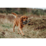 Kuscheltier für Hunde Hunter Grau 100 % Recycelter Bär