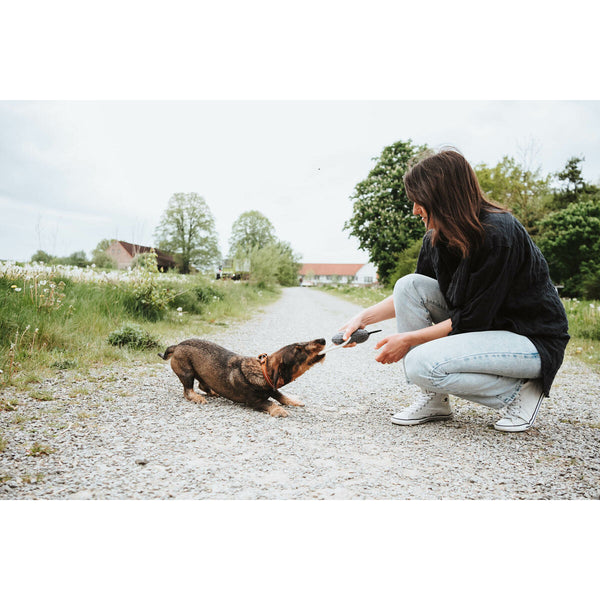 Hundespielzeug Hunter NEBRASKA Grau Polyester Pferd