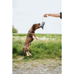 Hundespielzeug Hunter NEBRASKA Beige Polyester