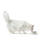 Futternapf für Hunde Hunter Silikon Edelstahl 550 ml