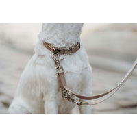 Hundehalsband Hunter Inari Beige 40-55 cm L