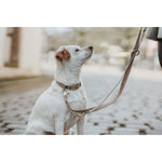 Hundeleine Hunter Inari Beige 200 cm