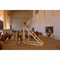 Leiter Kerbl Beige 85 x 55 x 76 cm Huhn