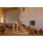 Leiter Kerbl Beige 85 x 55 x 76 cm Huhn