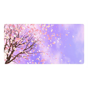 Mousepad Sharkoon SKILLER SGP40 D1